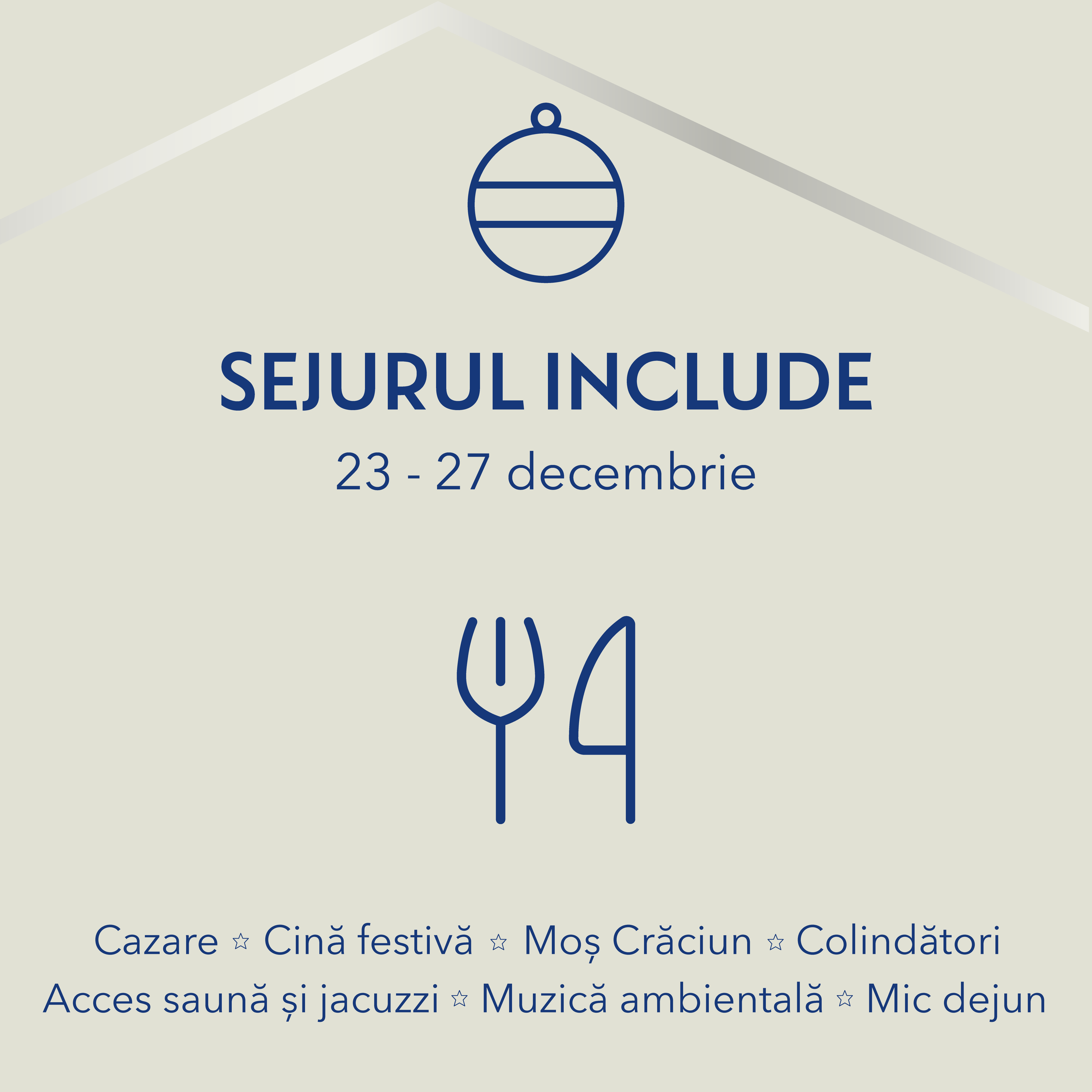 oferta craciun 2023-03